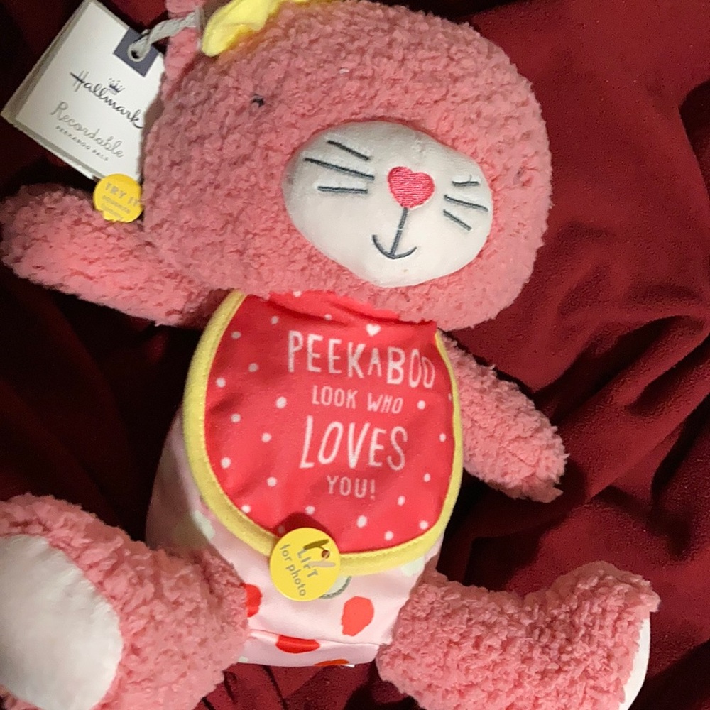 Pink Stuffed Kitty Toy with Frame 🐱